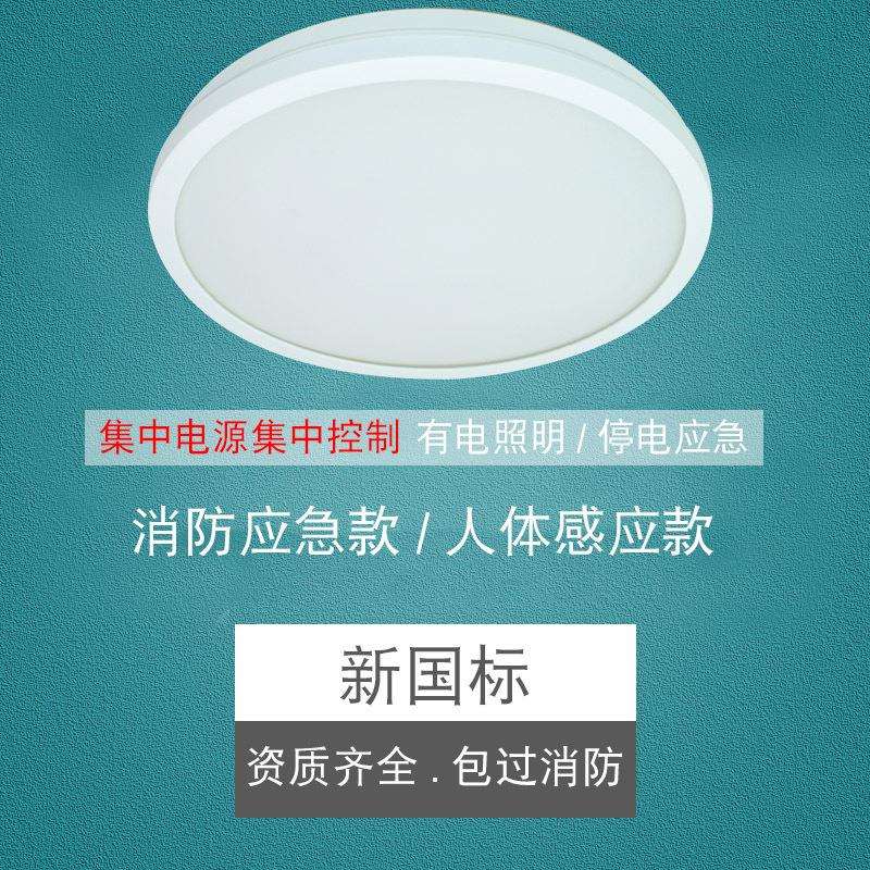 振辉36V低压智能吸顶灯LED过道走廊灯具楼梯灯雷ZF-ZFJC-E7W-8332