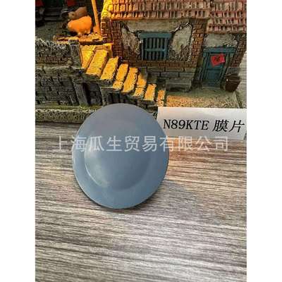 N89KTE德国KNF原装进口防腐膜片 量大优惠