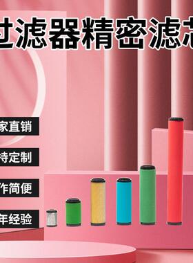 除滤芯尘除水除系列滤芯Zander德国先达EA55W压缩替代空气滤芯