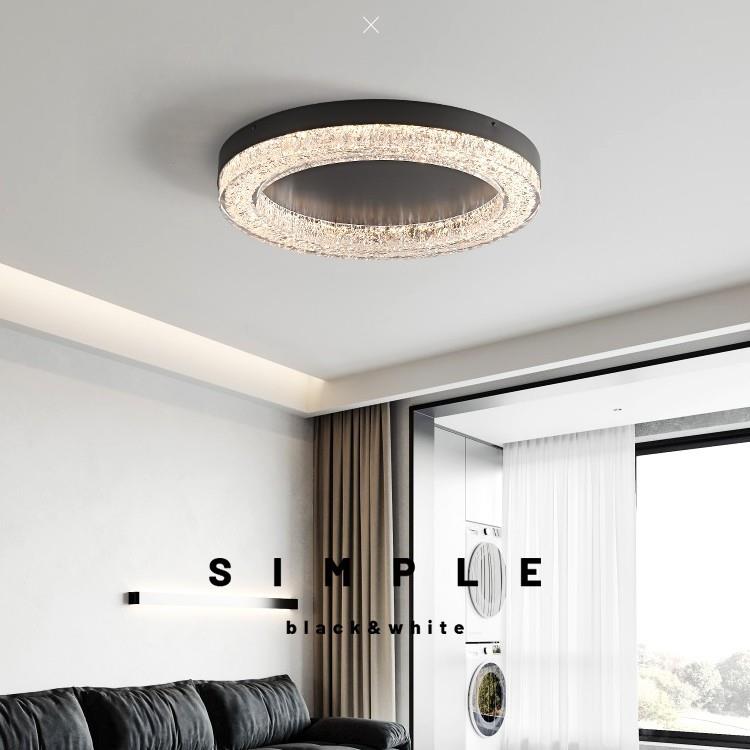 意式极简客厅吸顶灯现代简约设计师2024新款家用主卧室房间灯