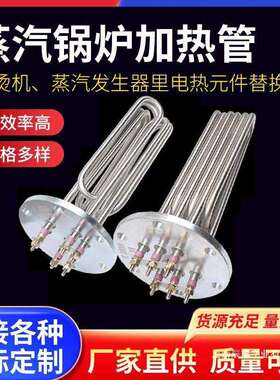 蒸烫机加热管蒸汽发生器蒸汽锅炉配件12/18/24KW140法兰电热