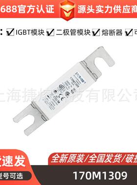 170M1309 170M1310 170M1312 直流熔断器 型号齐全 电子元器件