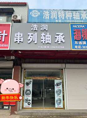 串联轴承 T5AR2264 双螺杆挤出机串列轴承 耐磨耐用 价格低质量好