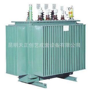 315KVA 供应优质 10KV国内通用电力变压器 油浸式 调压变压器S11
