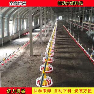 肉鸡雏鸡自动化上料设备 平养料盘式水线料线 家鸭鹅饲喂料线水线