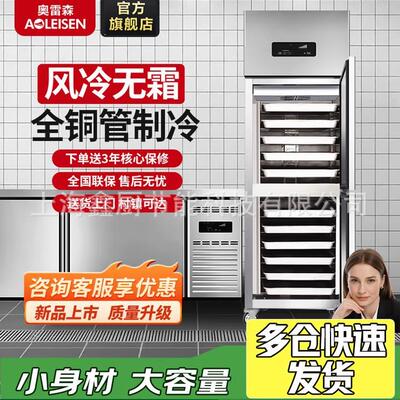 奥雷森二门商用冰箱风冷无霜冰柜大容量厨房酒店全冷冻插盘冷柜