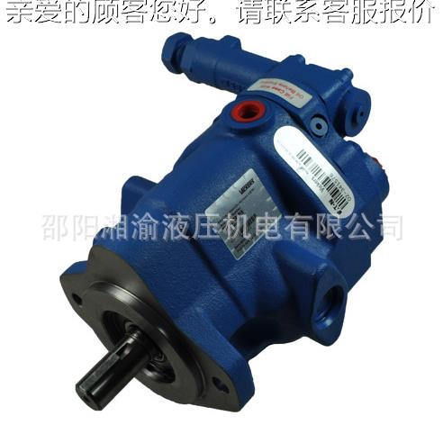 PVB20-RS-21--CC-11-PCCG CM 641C CVPPVB29 LSP泵