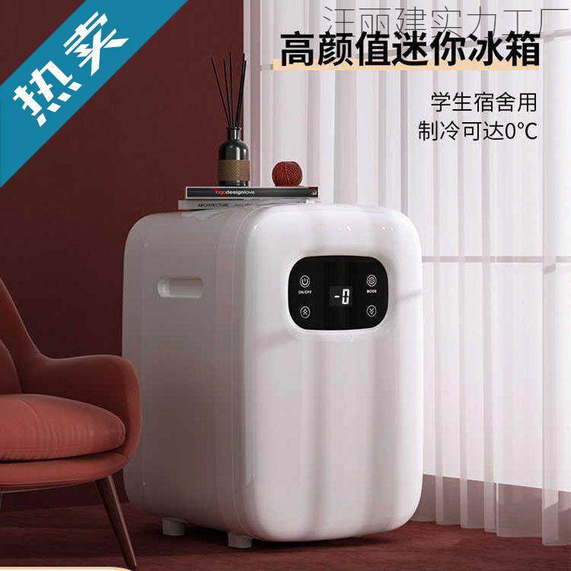 迷你小冰箱宿舍用家用mini小型冰柜美妆一人办公保鲜车载冷藏冰箱