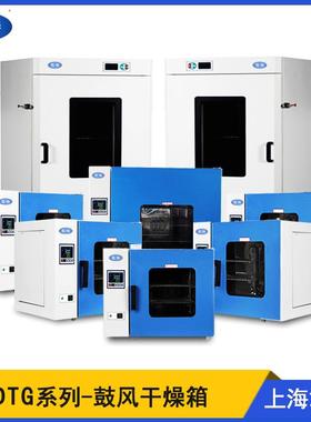笃特DTG-9023A高温烘箱热风循环烘箱电热恒温箱鼓风干燥箱