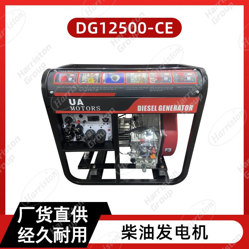 DG12500-CE柴油发电机110/220V60Hz