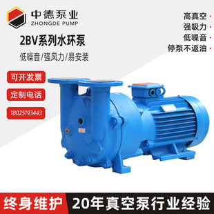 2BV水环式真空泵 东莞厂家直销高压真空泵小型抽气压缩机2BV5161