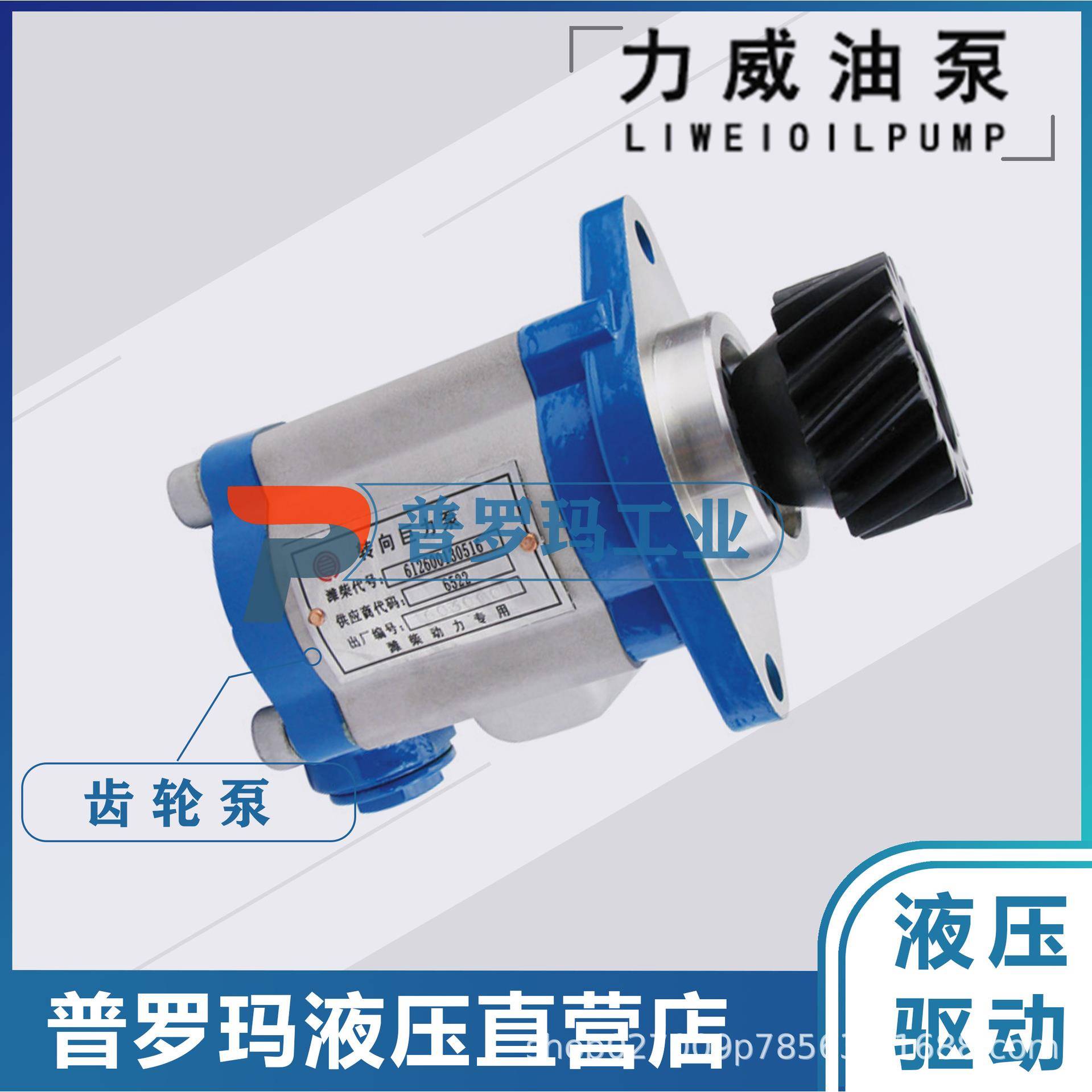 合肥力威汽车转向油泵中联重科吊车液压助力泵QC20/15-WP10-ZL