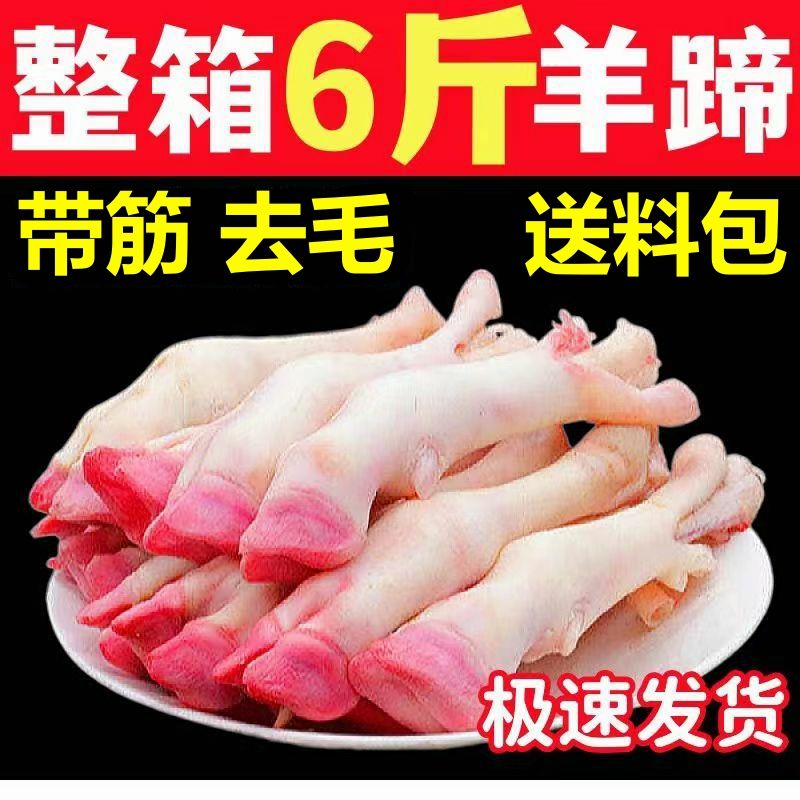 羊蹄新鲜农家现宰羔羊蹄原切多筋肉山羊白羊蹄饭店卤炖烤精修羊蹄