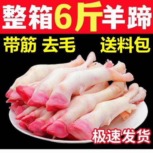 羊蹄新鲜农家现宰羔羊蹄原切多筋肉山羊白羊蹄饭店卤炖烤精修羊蹄