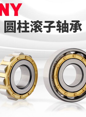 PNY NF208 EM 12208H轴承短圆柱滚子轴承进口