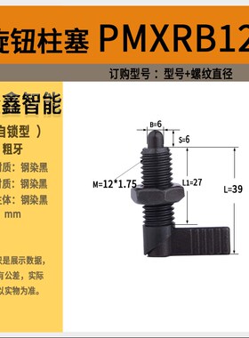 PMXRB10 PMXRMm10 PMXRB12 PMXRM12 L型把手型旋钮柱塞粗牙分度销