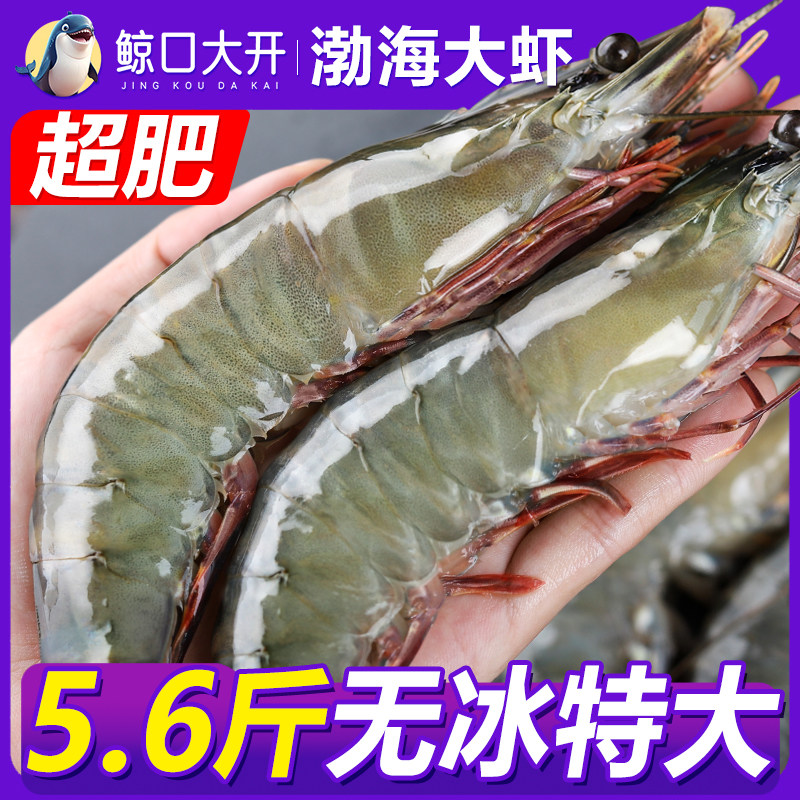 【鲸口大开】渤海大虾气冻大虾鲜生羊腿