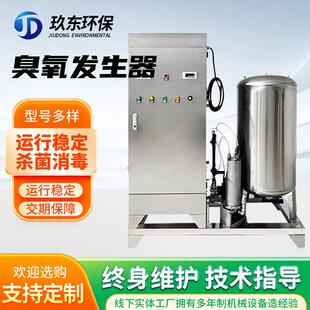 小型臭氧發(fā)生器廠家工業(yè)級污水處理臭氧機凈化設備脫色化工使用