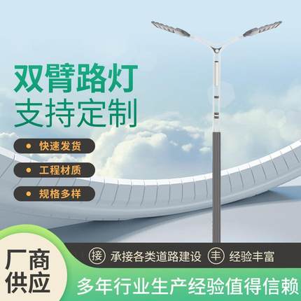 厂家LED市电路灯6米8米市政道路双臂路灯城市公路道路照明灯
