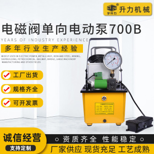 脚踩控制单向电动泵 电磁阀单向电动泵700B 高压电磁阀电动泵