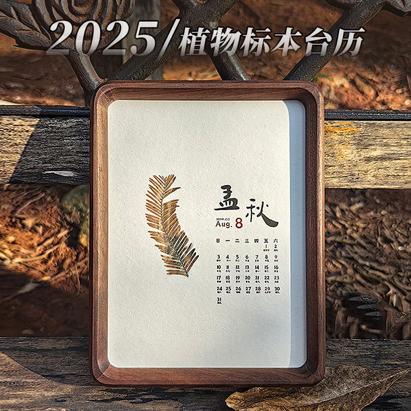 2025年台历蛇年日历台历植物标本黑胡桃实木相框替换画芯diy干花