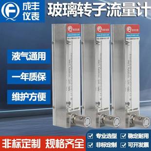 3WBF不锈钢玻璃管浮子流量计气体液体水流量计接头可选卡套 LZB