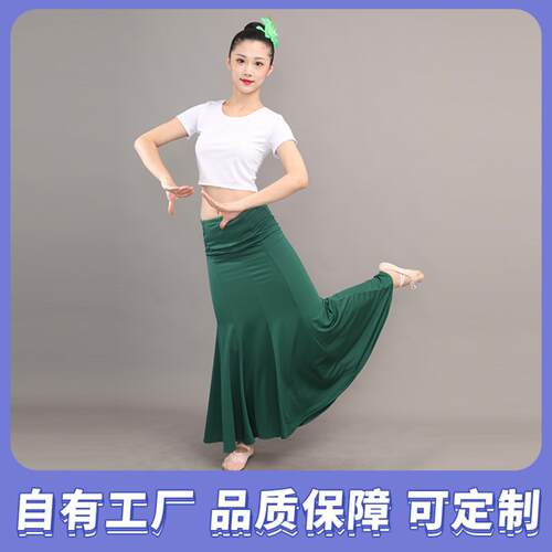 傣族舞蹈演出服装练功裙表演服女