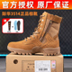 正品 际华3514棕色全碳板作战训靴男超轻训练靴高帮防穿刺户外靴