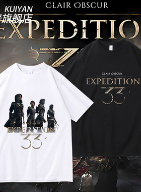 光与影：33号远征队短袖RPG游戏周边Clair Obscur男女T恤纯棉衣服
