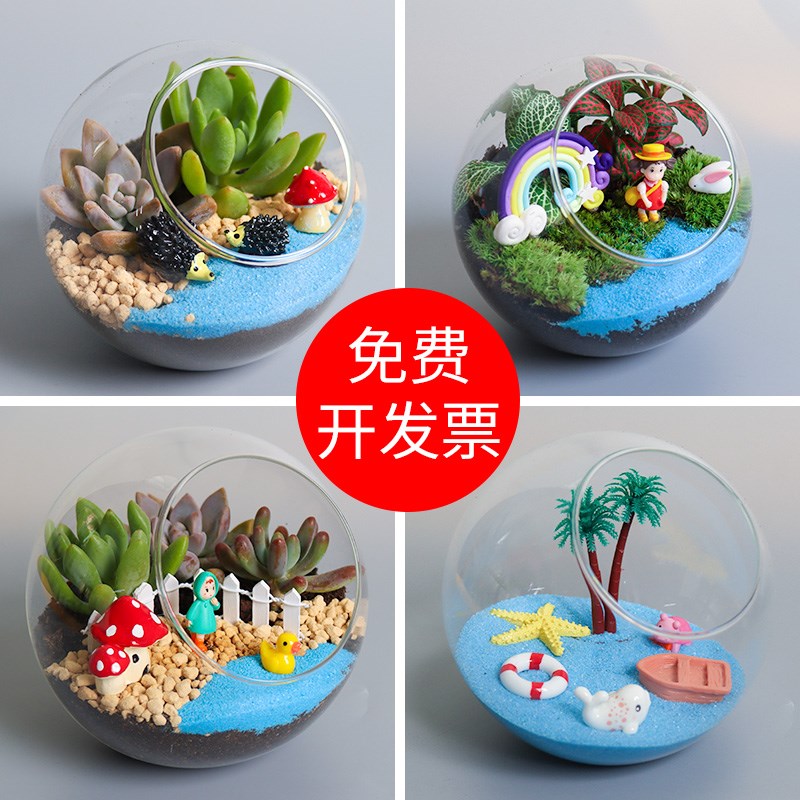 多肉微景观diy材料苔藓桌面微景观生态瓶迷你盆栽植物手工摆件