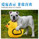 狗狗玩具法斗陪睡猪伴侣耐咬磨牙公狗泰迪发情期发泄解闷泻火用品