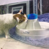 宠物猫狗饮水机器大容量活水自动饮水器静音宠物喂水器喝水盆滤芯