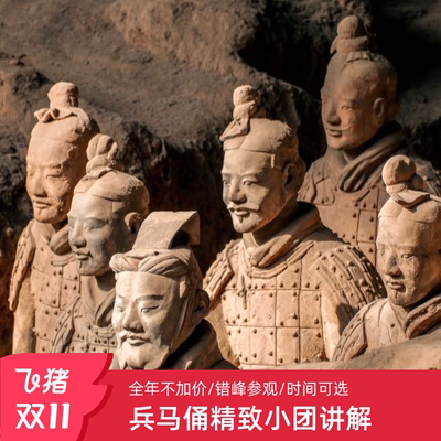 [秦始皇帝陵博物院（兵马俑）-人工讲解]兵马俑人工讲解+无线耳麦