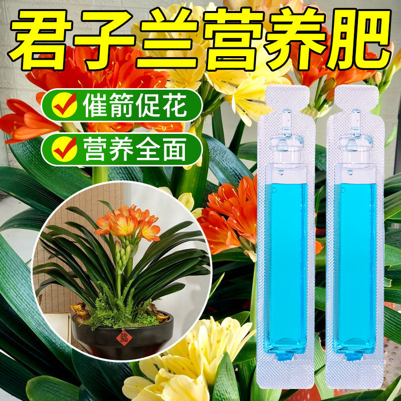 君子兰营养液专用肥料君子兰促箭剂催花快速授粉营养液防黄叶烂根