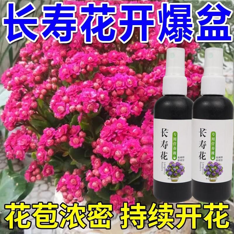 长寿花专用营养液开花养花