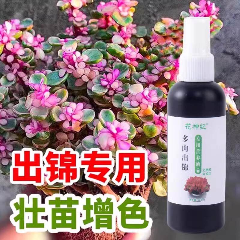 多肉上色剂出锦催芽变色生长素生根增肥增色矮胖素免稀释营养液