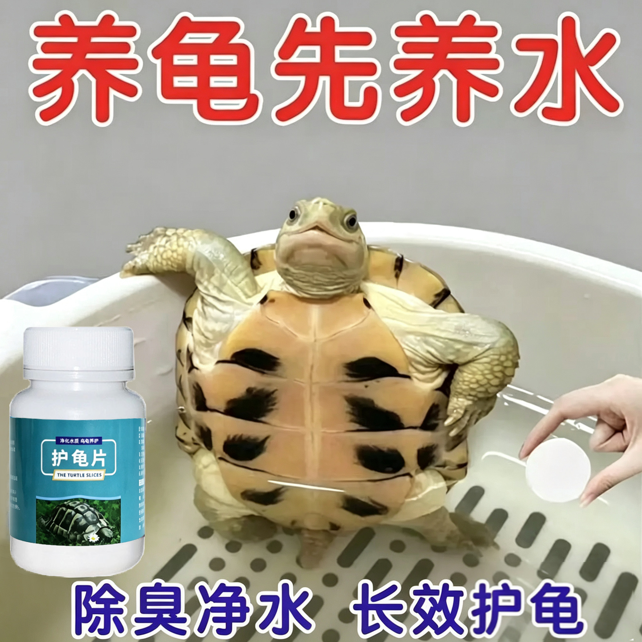 护龟片乌龟养护片净化水质乌龟