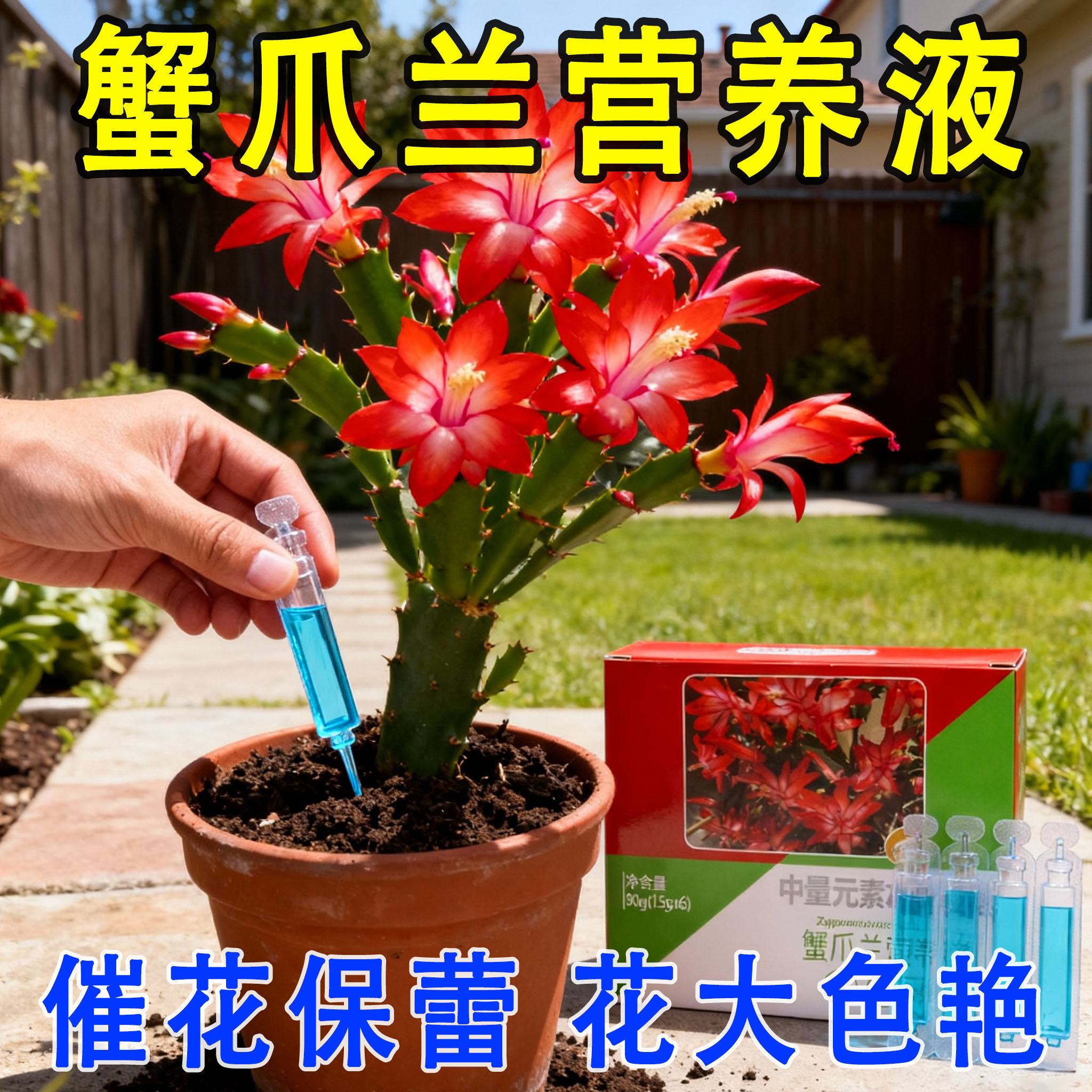蟹爪兰专用营养液专用肥