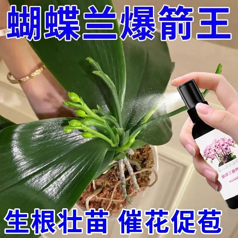 蝴蝶兰花专用营养液助生根