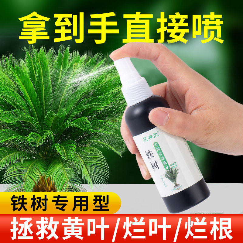 铁树专用肥料硫酸亚铁铁树叶子发黄专用营养液喜酸药花卉盆栽通用