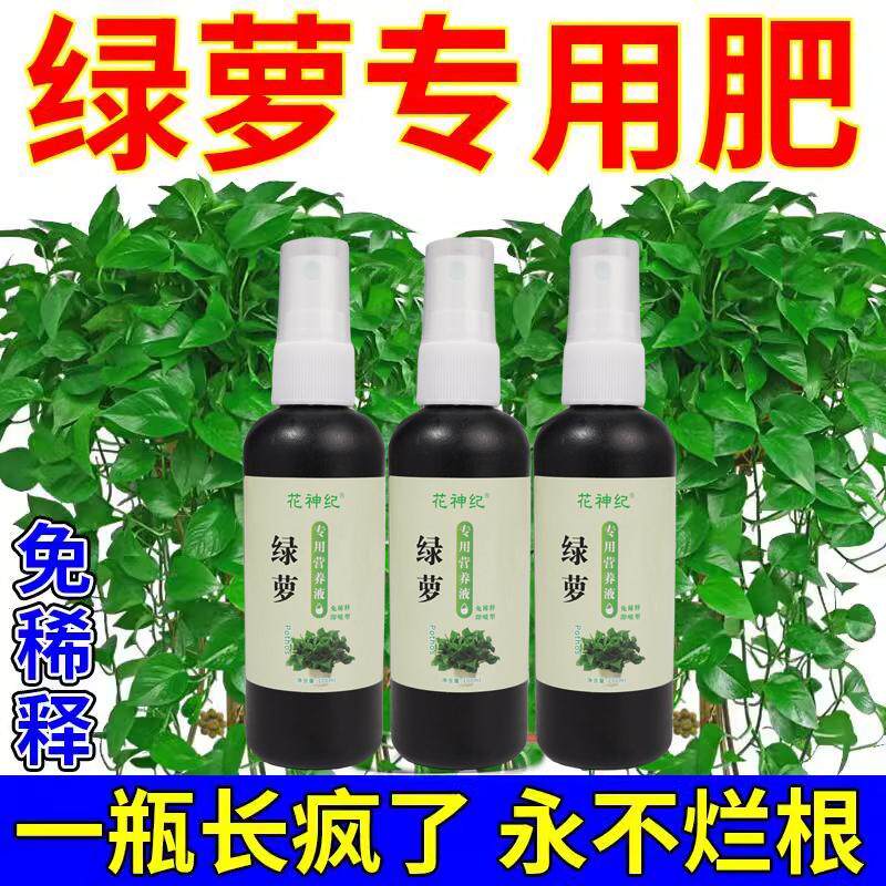 绿萝营养液专用肥防黄叶水培绿箩肥料大叶绿萝营业液免稀释禄萝
