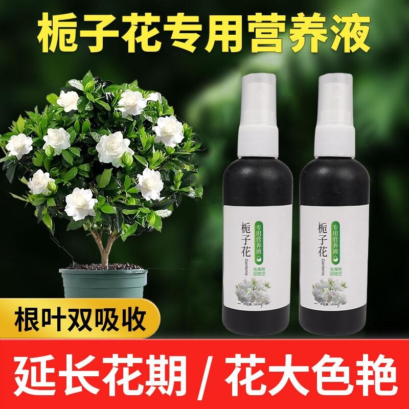 栀子花营养液专用肥料