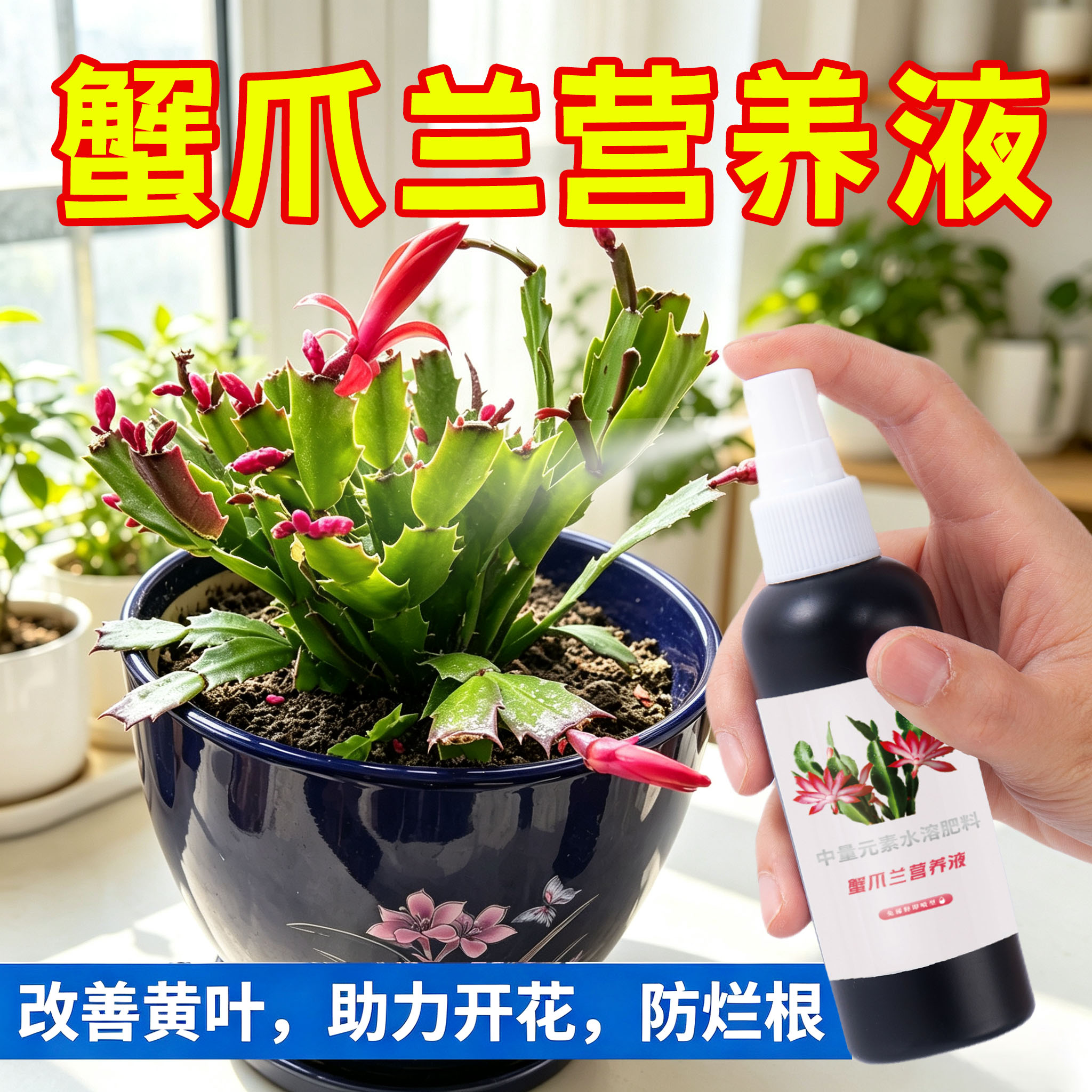 蟹爪兰专用营养液家用盆栽养花种花卉绿植物水培土培通用肥料
