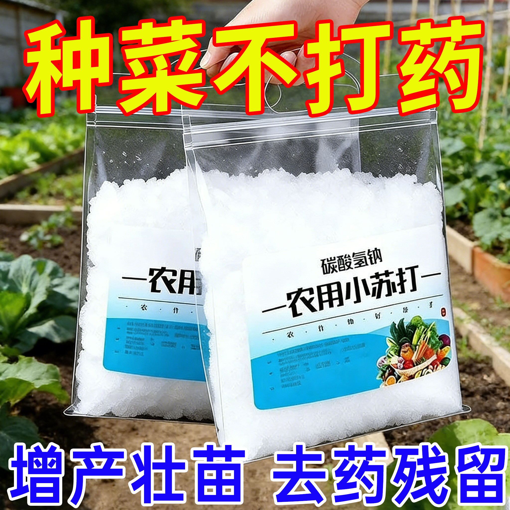 农用小苏打防虫蔬菜增产果树壮苗