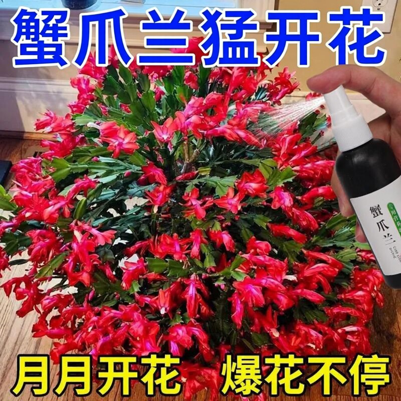 蟹爪兰专用营养液专用肥