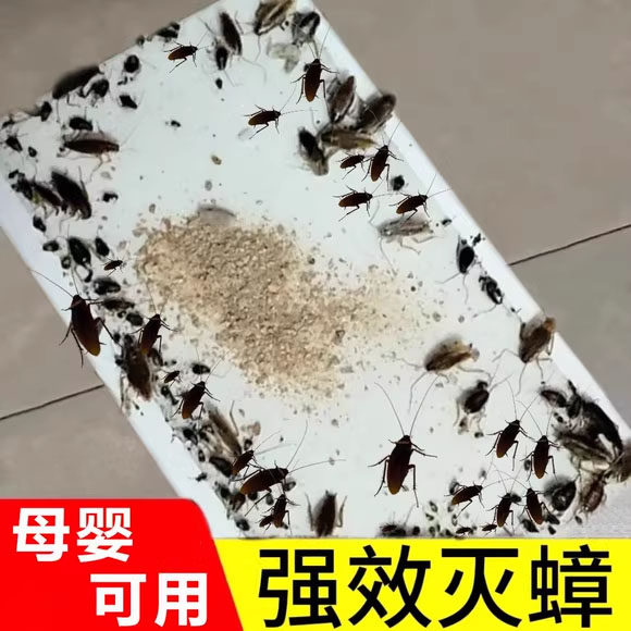 家用蟑螂粘板蟑螂贴厨房