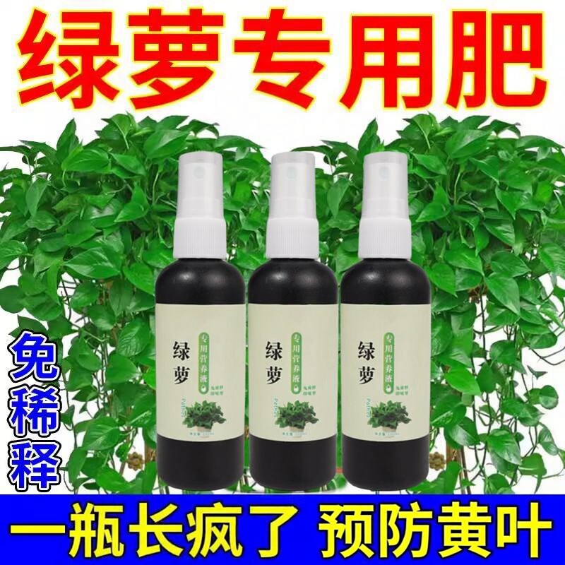 绿萝营养液专用肥防黄叶