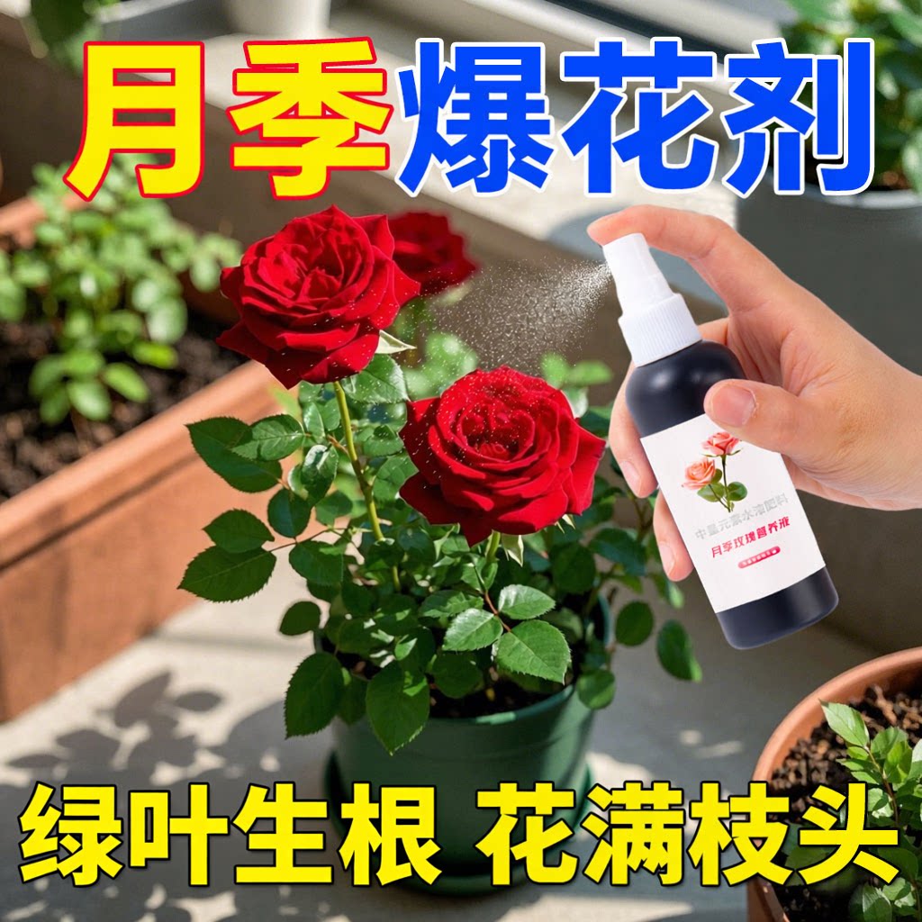 【月季开不败】月季玫瑰专用