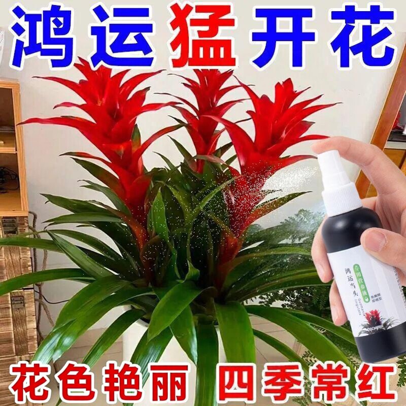 鸿运当头营养液开花促花家庭盆栽叶子发黄烂根防黄叶专用液体肥料