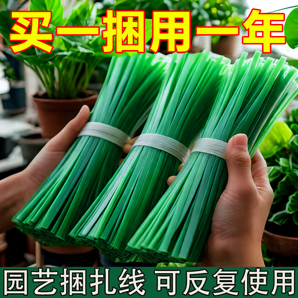 200根多功能加粗园艺捆扎线
